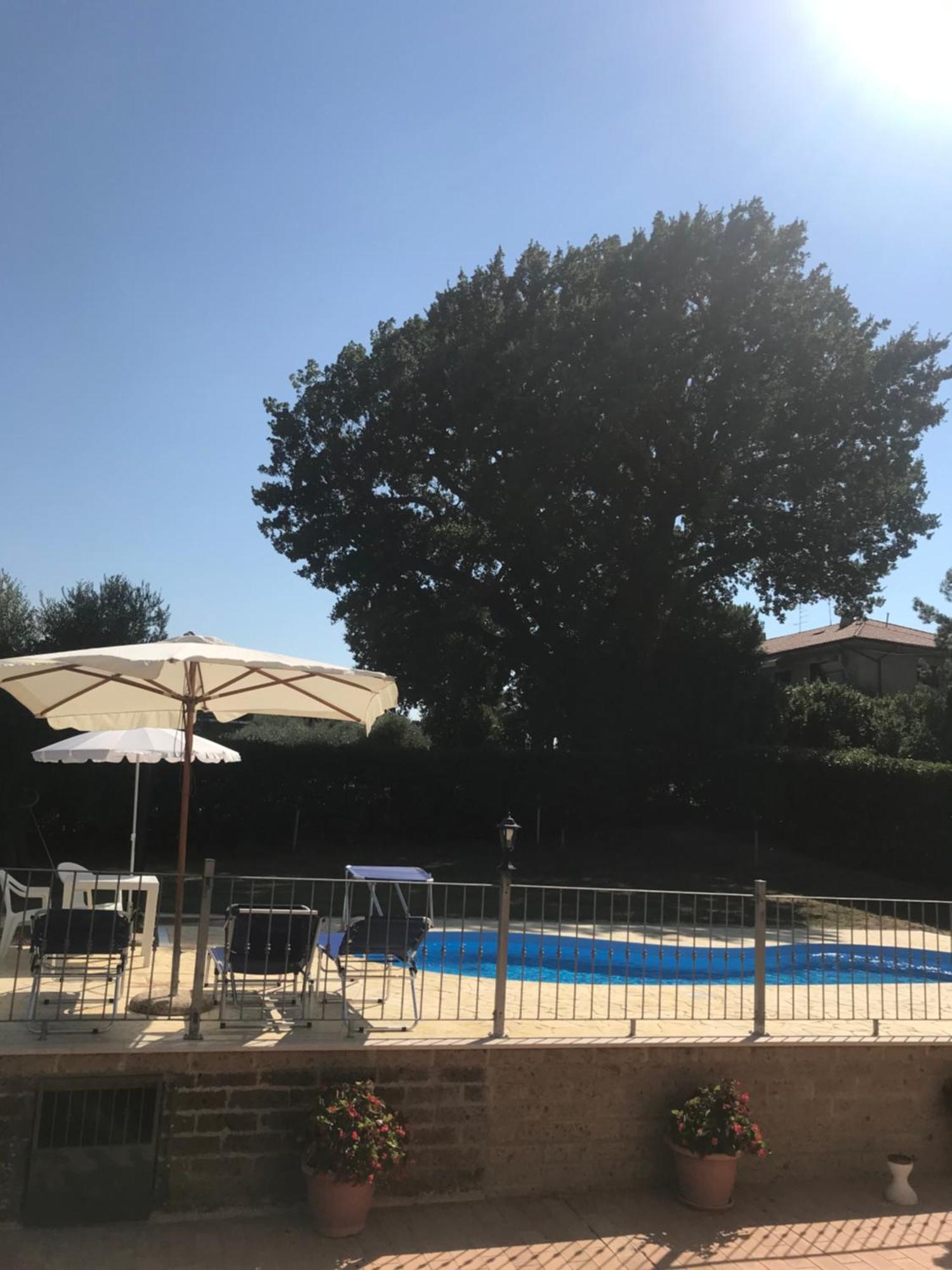 Agriturismo Cerquatonda Montalto delle Marche Bagian luar foto