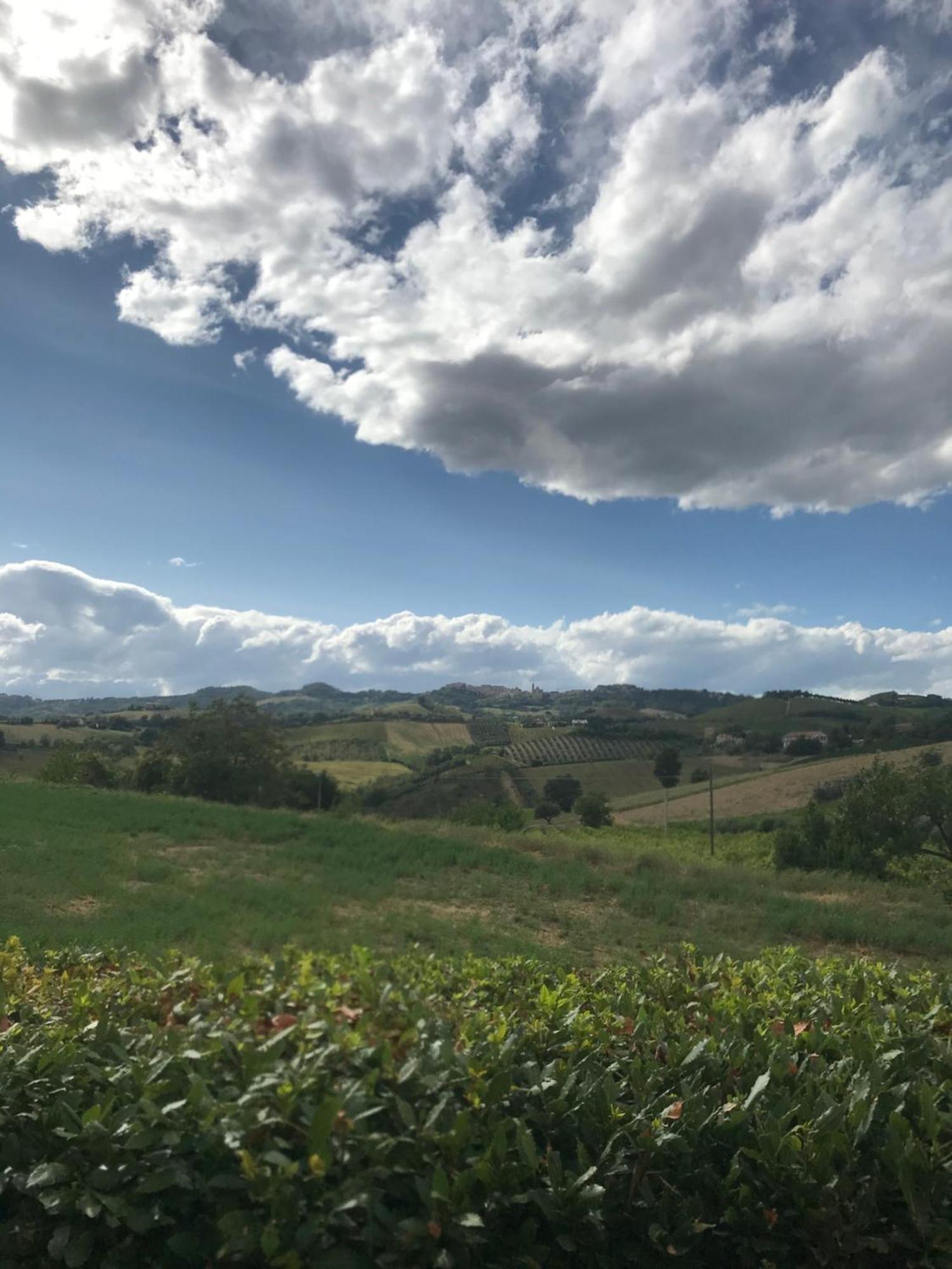 Agriturismo Cerquatonda Montalto delle Marche Bagian luar foto