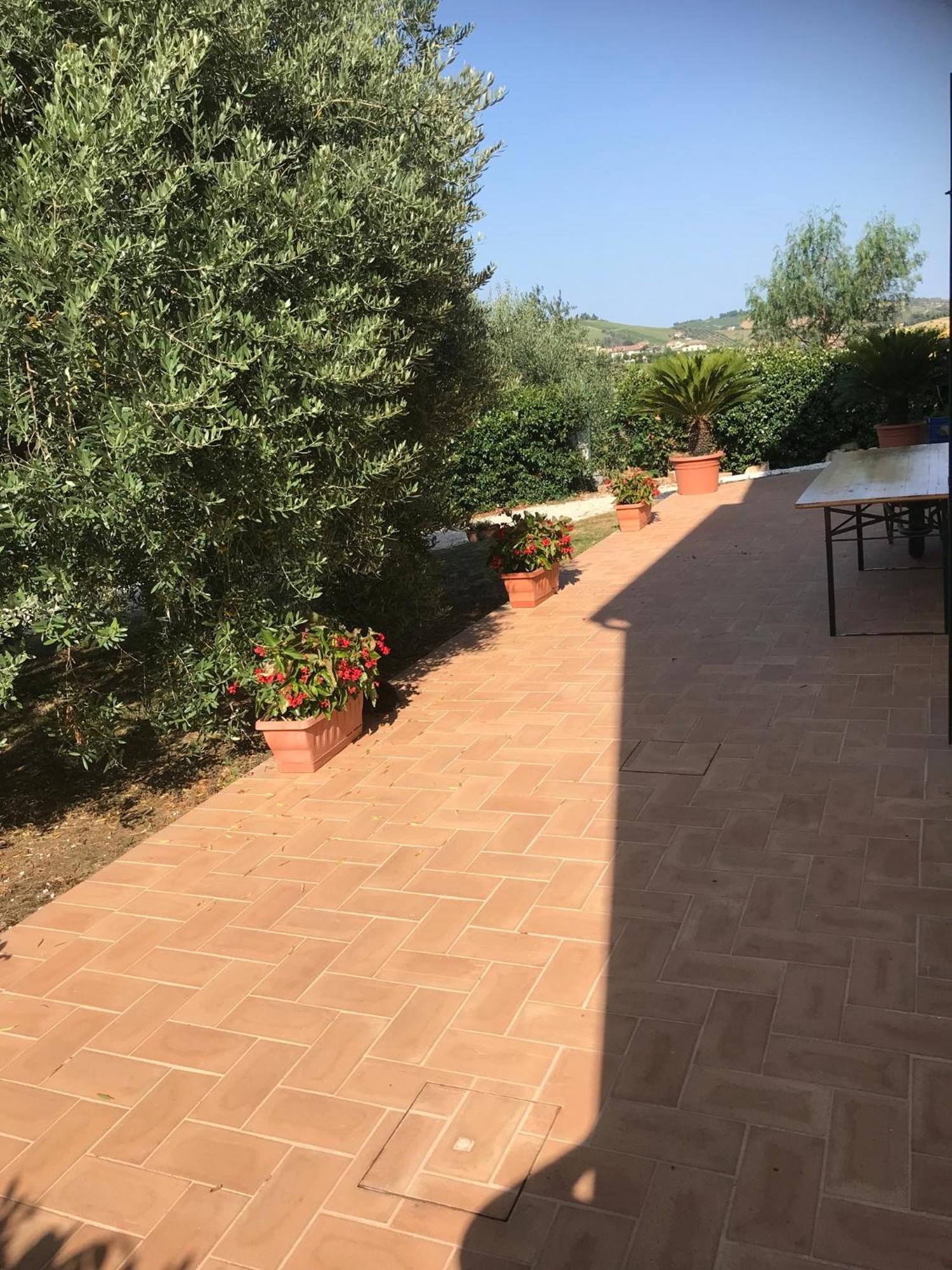 Agriturismo Cerquatonda Montalto delle Marche Bagian luar foto